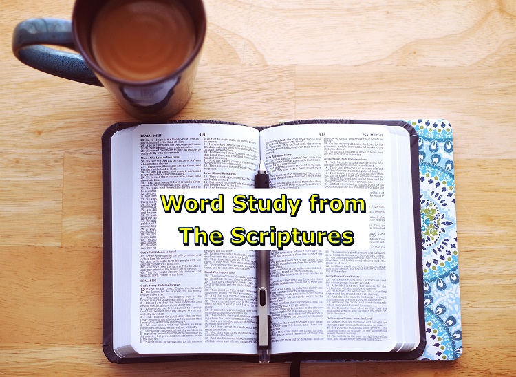 All Things to All&nbsp;Men